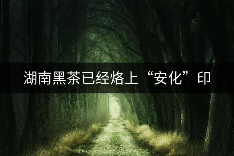 湖南黑茶已經烙上“安化”印 湖南黑茶已經烙上“安化”印