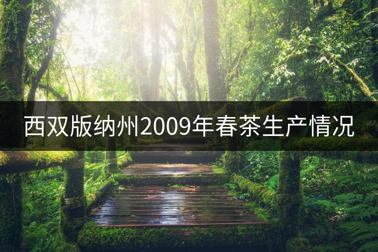 西雙版納州2009年春茶生產情況