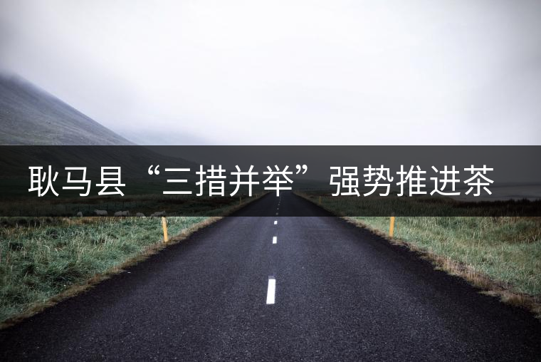 耿馬縣“三措并舉”強勢推進茶葉產業的發展 耿馬縣“三措并舉”強勢推進茶葉產業的發展