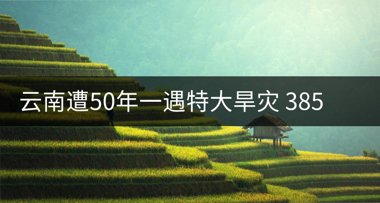 云南遭50年一遇特大旱災 385萬人飲水困難 云南遭50年一遇特大旱災 385萬人飲水困難