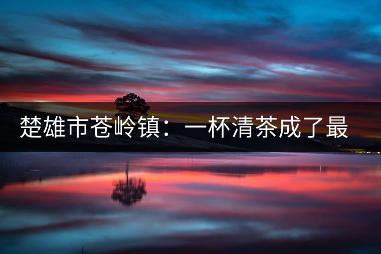 楚雄市蒼嶺鎮：一杯清茶成了最奢侈的待客之物