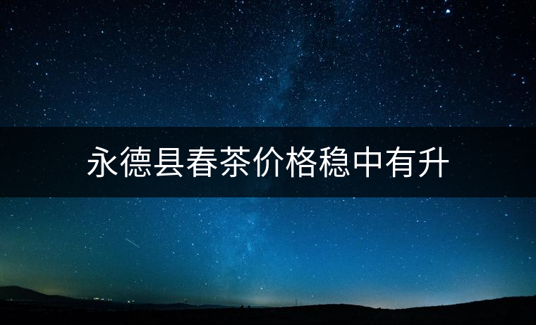永德縣春茶價格穩中有升 永德縣春茶價格穩中有升