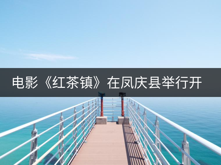 電影《紅茶鎮》在鳳慶縣舉行開機儀式 電影《紅茶鎮》在鳳慶縣舉行開機儀式