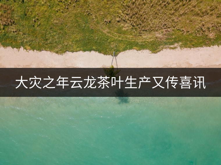 大災之年云龍茶葉生產又傳喜訊 大災之年云龍茶葉生產又傳喜訊