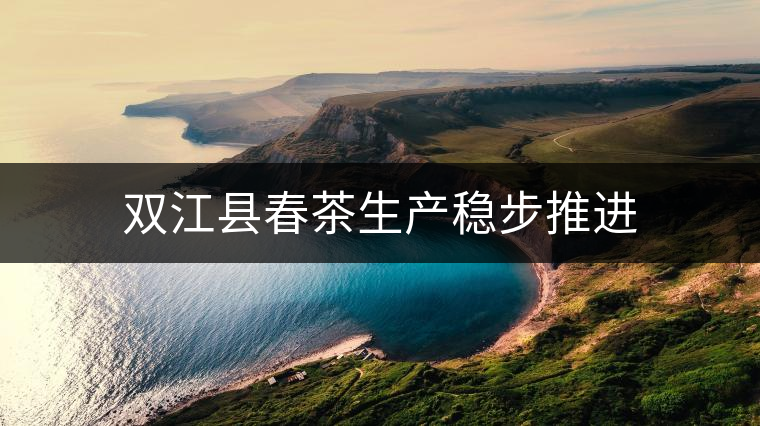 雙江縣春茶生產(chǎn)穩(wěn)步推進(jìn)