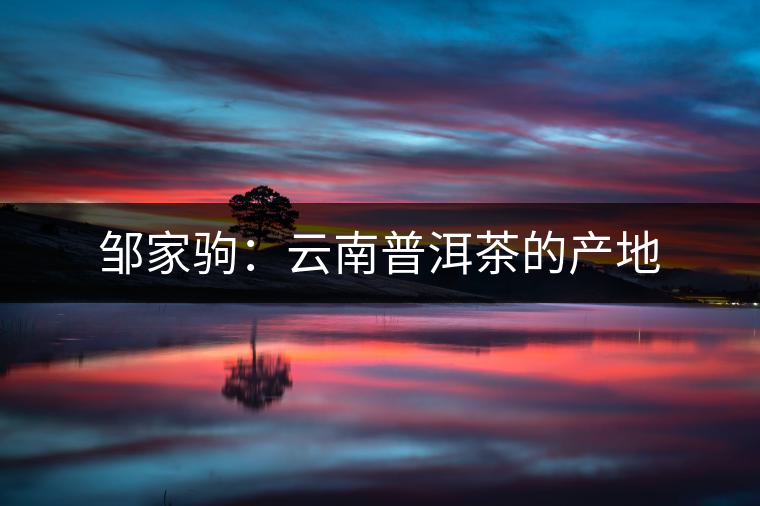 鄒家駒：云南普洱茶的產地