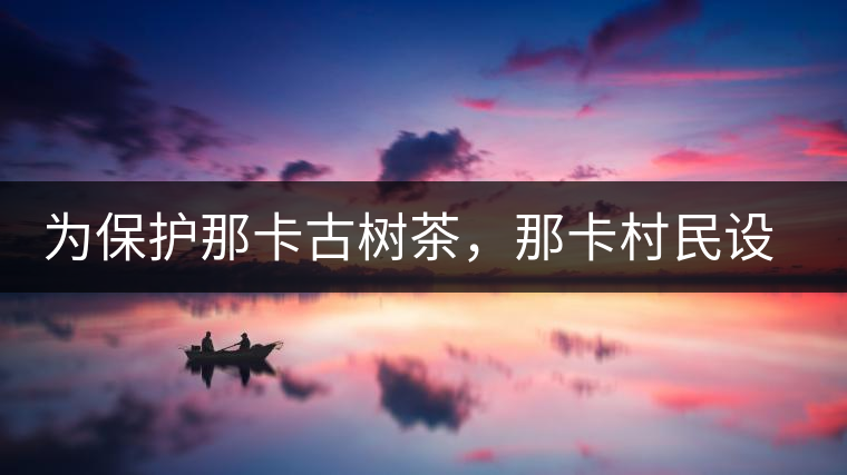 為保護那卡古樹茶，那卡村民設公約牌