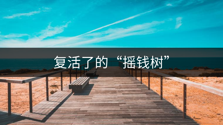 復活了的“搖錢樹” 復活了的“搖錢樹”