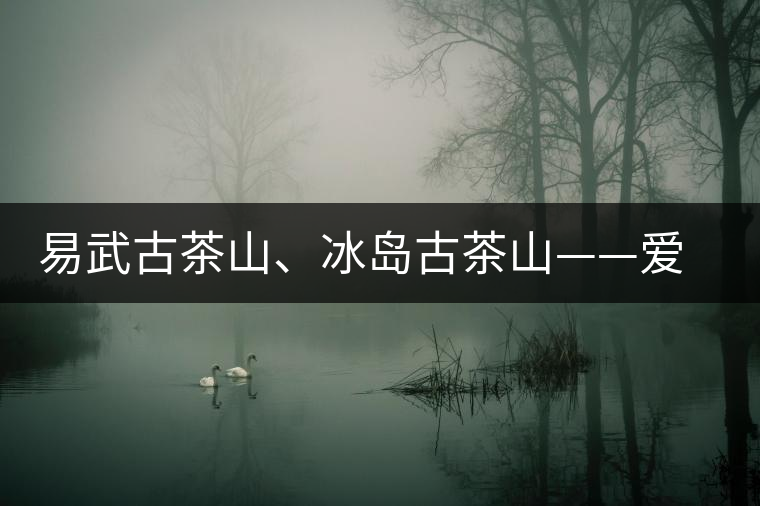 易武古茶山、冰島古茶山——愛茶人的旅游選擇 易武古茶山、冰島古茶山——愛茶人的旅游選擇