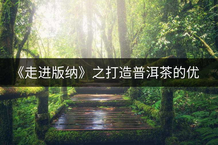 《走進版納》之打造普洱茶的優質基地 《走進版納》之打造普洱茶的優質基地