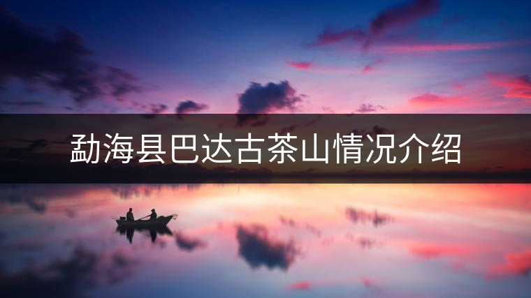 勐海縣巴達古茶山情況介紹 勐海縣巴達古茶山情況介紹