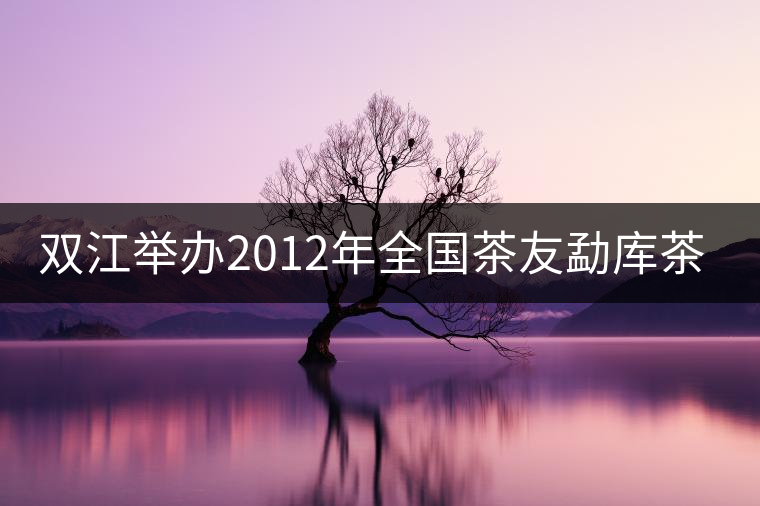 雙江舉辦2012年全國茶友勐庫茶鄉行活動