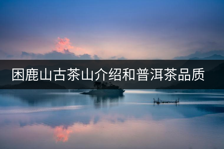 困鹿山古茶山介紹和普洱茶品質特色 困鹿山古茶山介紹和普洱茶品質特色