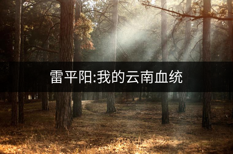 雷平陽:我的云南血統