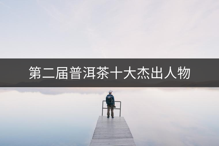 第二屆普洱茶十大杰出人物