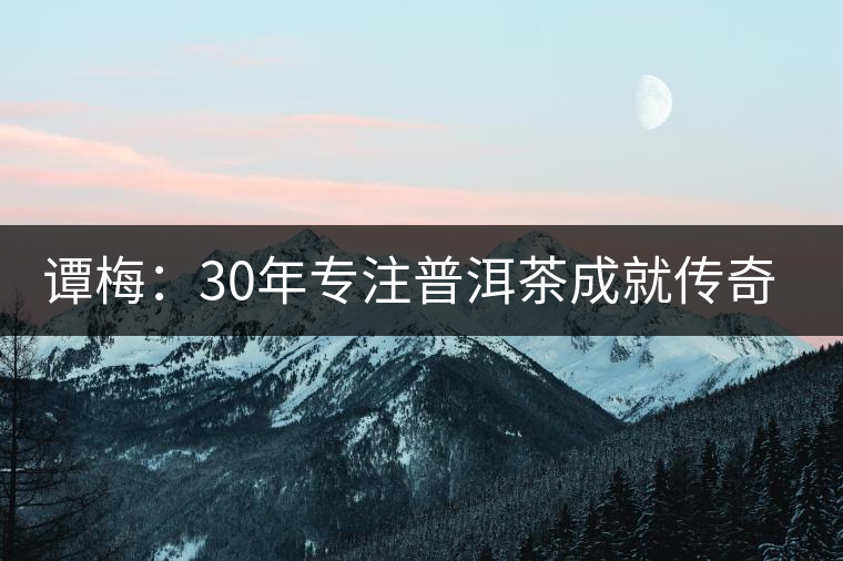 譚梅:30年專注普洱茶成就傳奇人生 譚梅:30年專注普洱茶成就傳奇人生