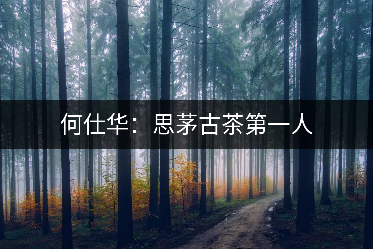 何仕華:思茅古茶第一人 何仕華:思茅古茶第一人