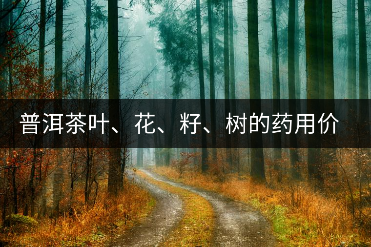 普洱茶葉、花、籽、樹(shù)的藥用價(jià)值