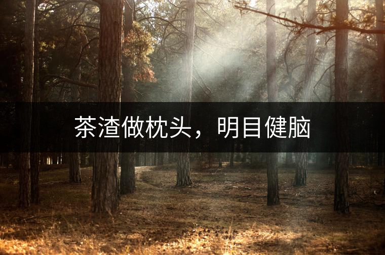 茶渣做枕頭,明目健腦 茶渣做枕頭,明目健腦