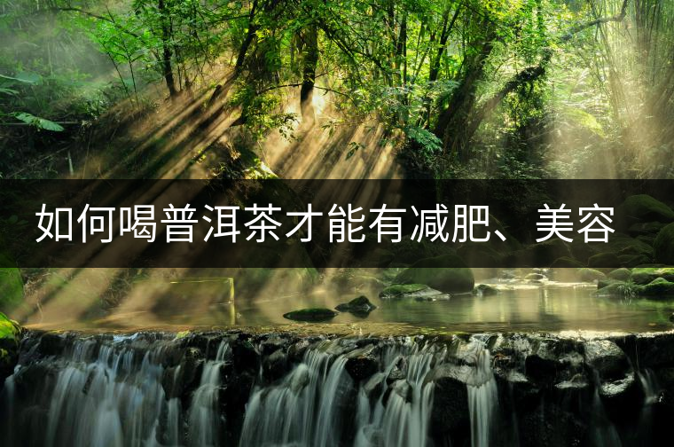 如何喝普洱茶才能有減肥、美容、抗癌之功效 如何喝普洱茶才能有減肥、美容、抗癌之功效