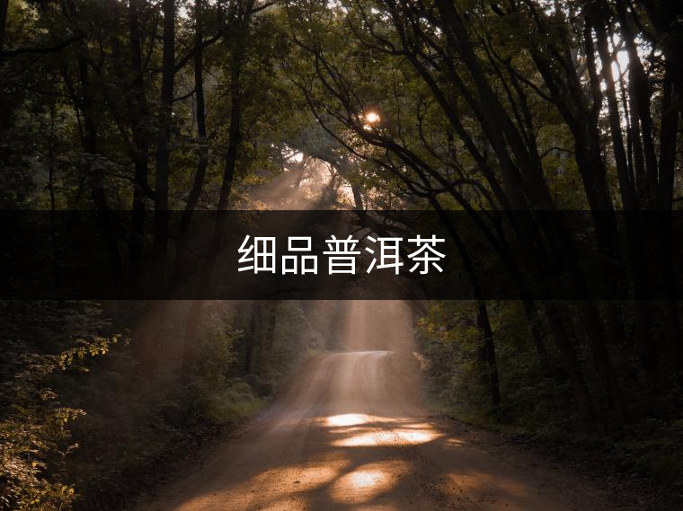 細品普洱茶 細品普洱茶