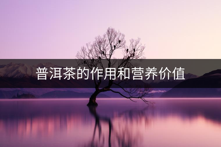 普洱茶的作用和營養價值 普洱茶的作用和營養價值