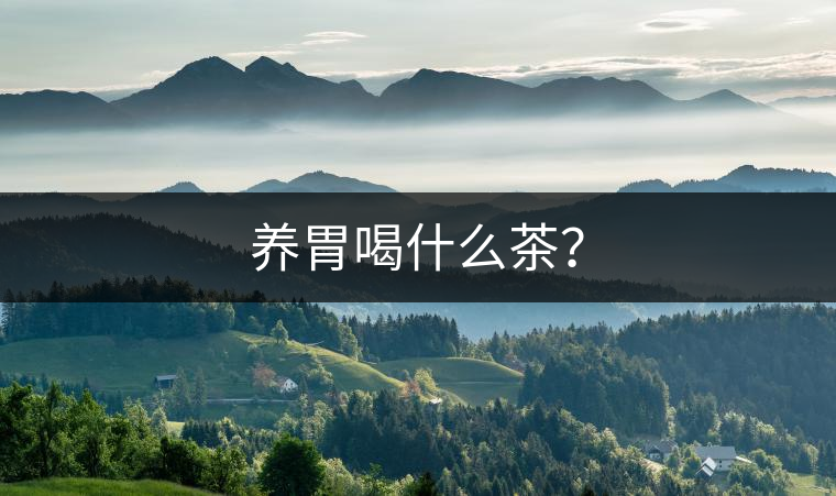 養(yǎng)胃喝什么茶？