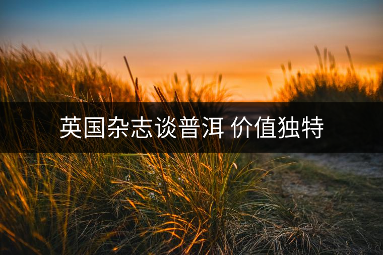 英國雜志談普洱 價值獨特 英國雜志談普洱 價值獨特