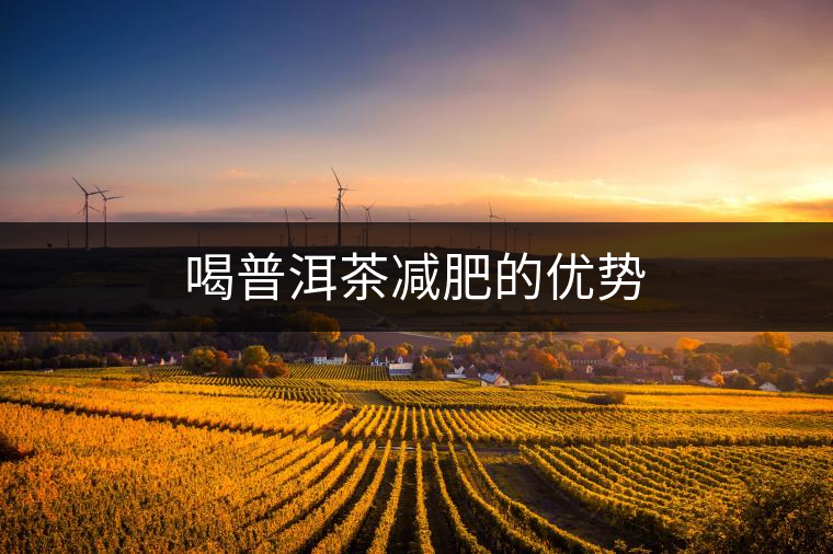 喝普洱茶減肥的優(yōu)勢(shì) 喝普洱茶減肥的優(yōu)勢(shì)