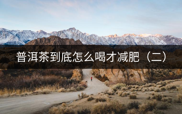 普洱茶到底怎么喝才減肥（二）