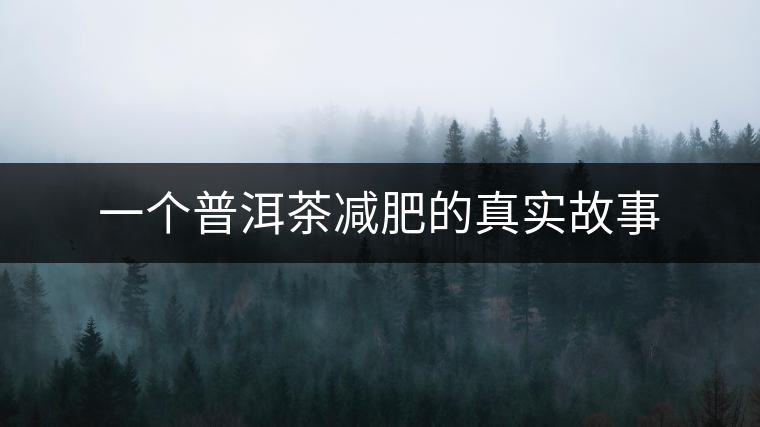 一個普洱茶減肥的真實故事 一個普洱茶減肥的真實故事
