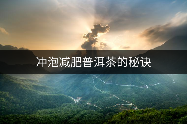 沖泡減肥普洱茶的秘訣 沖泡減肥普洱茶的秘訣