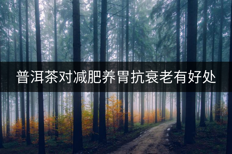 普洱茶對減肥養胃抗衰老有好處 普洱茶對減肥養胃抗衰老有好處