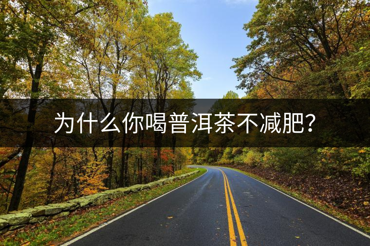 為什么你喝普洱茶不減肥? 為什么你喝普洱茶不減肥?