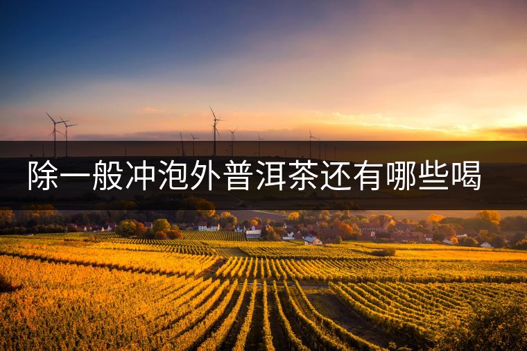 除一般沖泡外普洱茶還有哪些喝法? 除一般沖泡外普洱茶還有哪些喝法?