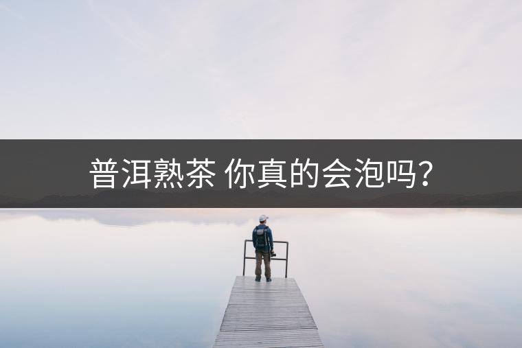 普洱熟茶 你真的會泡嗎? 普洱熟茶 你真的會泡嗎?