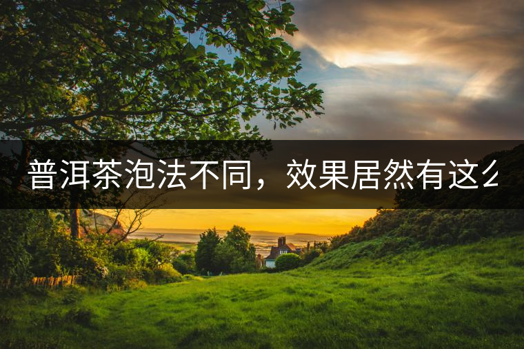 普洱茶泡法不同,效果居然有這么大區別! 普洱茶泡法不同,效果居然有這么大區別!
