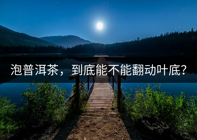泡普洱茶,到底能不能翻動葉底? 泡普洱茶,到底能不能翻動葉底?