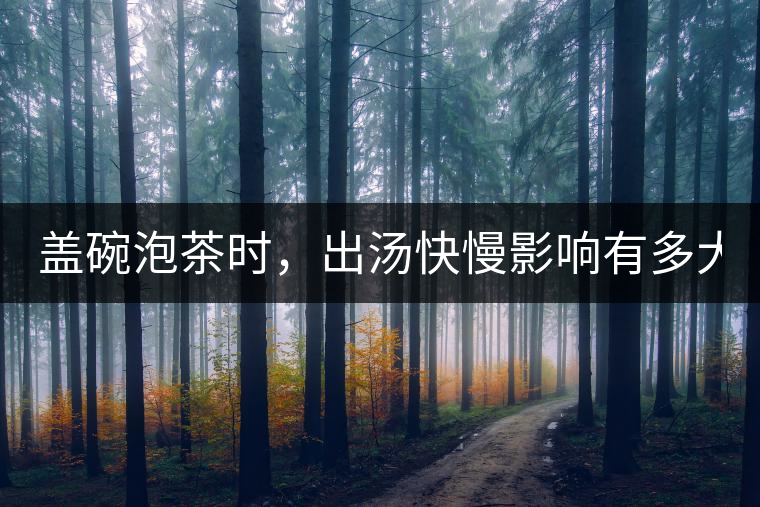 蓋碗泡茶時,出湯快慢影響有多大? 蓋碗泡茶時,出湯快慢影響有多大?