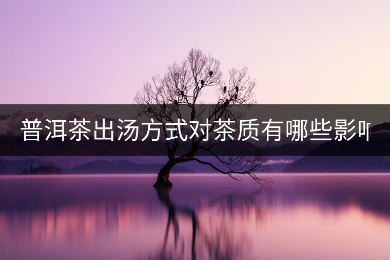 普洱茶出湯方式對茶質有哪些影響? 普洱茶出湯方式對茶質有哪些影響?