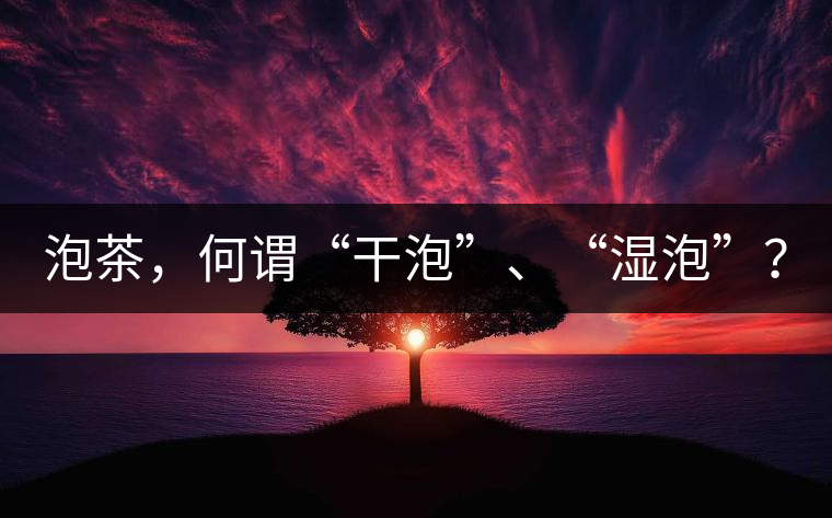 泡茶,何謂“干泡”、“濕泡”? 泡茶,何謂“干泡”、“濕泡”?