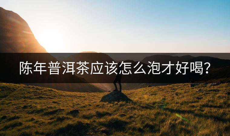 陳年普洱茶應該怎么泡才好喝? 陳年普洱茶應該怎么泡才好喝?