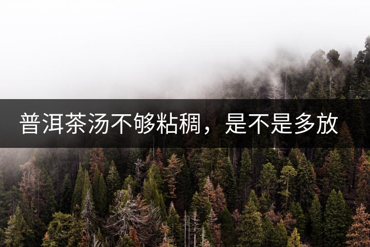普洱茶湯不夠粘稠,是不是多放些茶葉就好了嗎? 普洱茶湯不夠粘稠,是不是多放些茶葉就好了嗎?