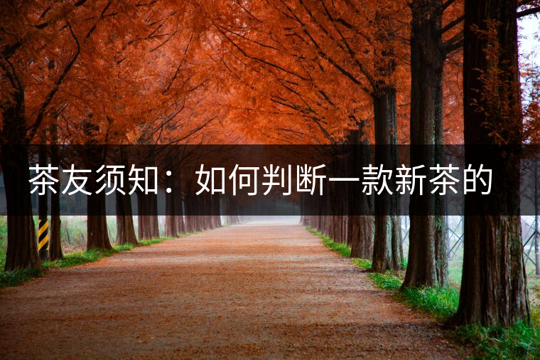 茶友須知：如何判斷一款新茶的陳化潛力？