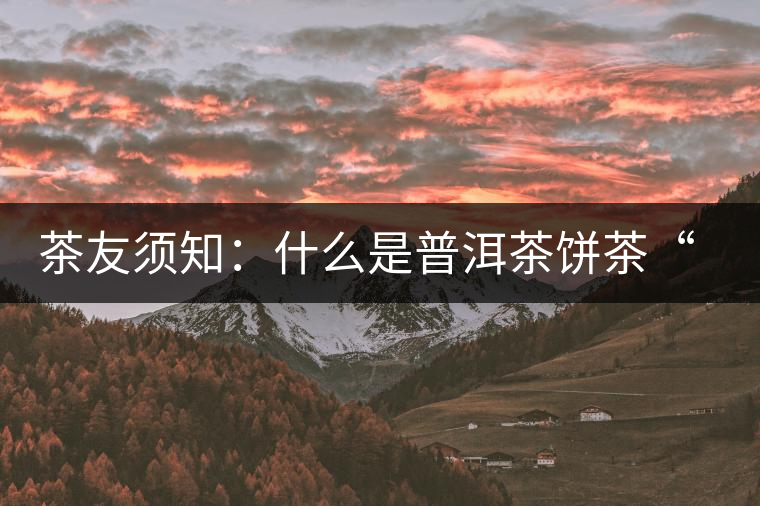 茶友須知：什么是普洱茶餅茶“八病”？如何鑒別？