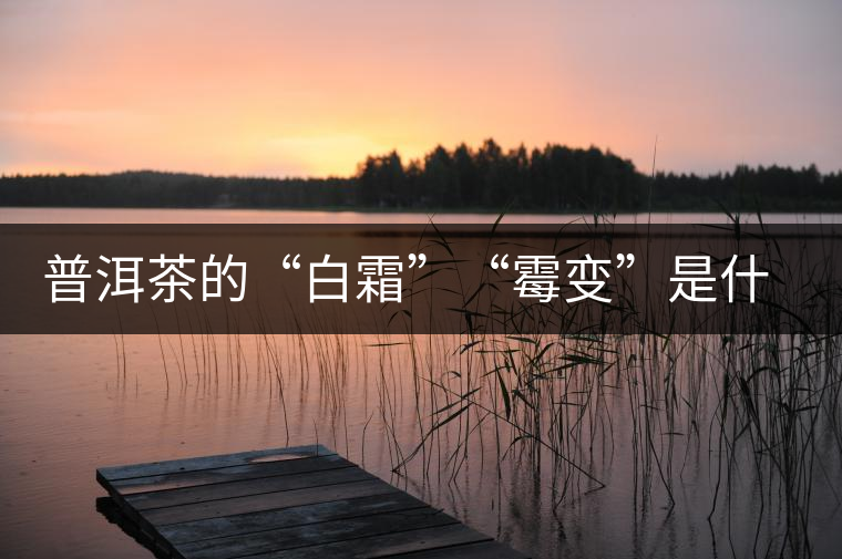 普洱茶的“白霜”“霉變”是什么鬼? 普洱茶的“白霜”“霉變”是什么鬼?
