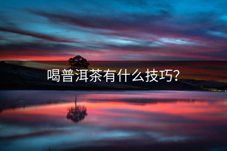 喝普洱茶有什么技巧? 喝普洱茶有什么技巧?