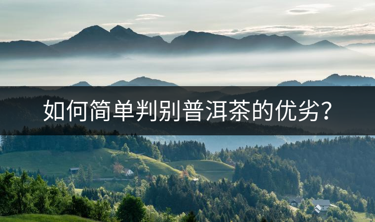 如何簡(jiǎn)單判別普洱茶的優(yōu)劣? 如何簡(jiǎn)單判別普洱茶的優(yōu)劣?