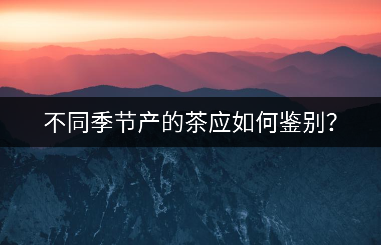 不同季節(jié)產(chǎn)的茶應(yīng)如何鑒別? 不同季節(jié)產(chǎn)的茶應(yīng)如何鑒別?