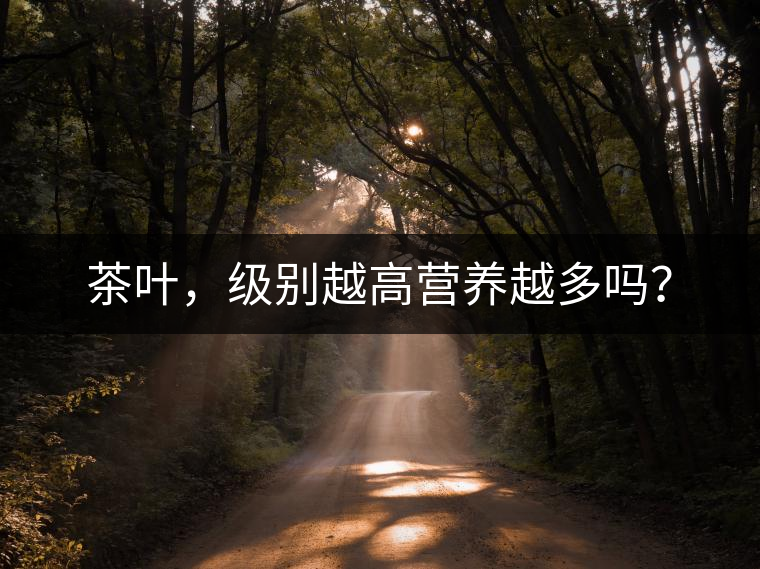 茶葉,級別越高營養越多嗎? 茶葉,級別越高營養越多嗎?